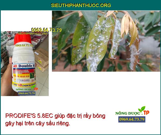 PRODIFE'S 5.8EC giúp đặc trị rầy bông gây hại trên cây sầu riêng.