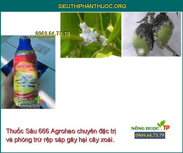 Thuốc Sâu 666 Agrohao chuyên đặc trị và phòng trừ rệp sáp gây hại cây xoài.