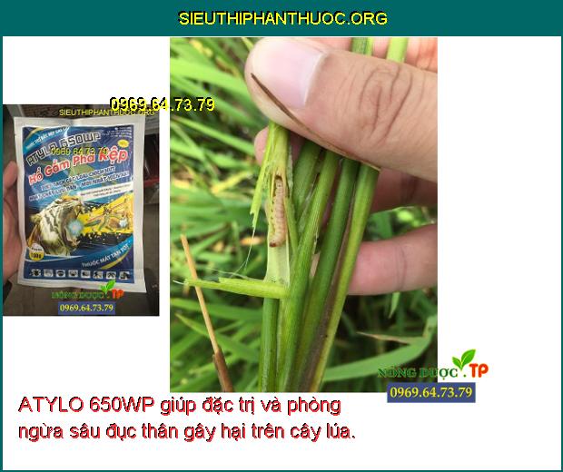 ATYLO 650WP giúp đặc trị và phòng ngừa sâu đục thân gây hại trên cây lúa.