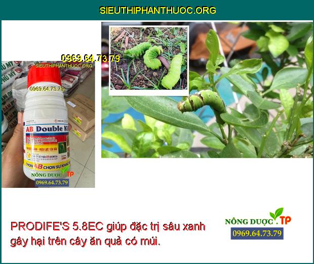 PRODIFE'S 5.8EC giúp đặc trị sâu xanh gây hại trên cây ăn quả có múi. 