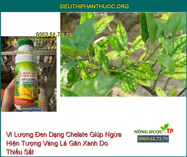 Vi Lượng Đen Dạng Chelate