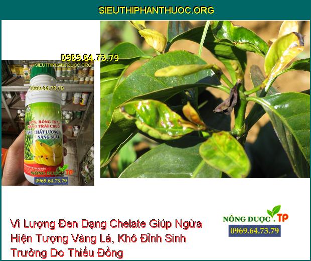 Vi Lượng Đen Dạng Chelate