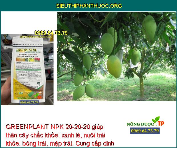 GREENPLANT NPK 20-20-20