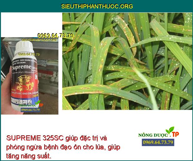SUPREME 325SC giúp đặc trị và phòng ngừa bệnh đạo ôn cho lúa, giúp tăng năng suất. 