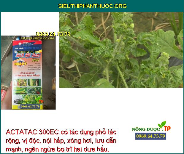 ACTATAC 300EC có tác dụng phổ tác rộng, vị độc, nội hấp, xông hơi, lưu dẫn mạnh, ngăn ngừa bọ trĩ hại dưa hấu.