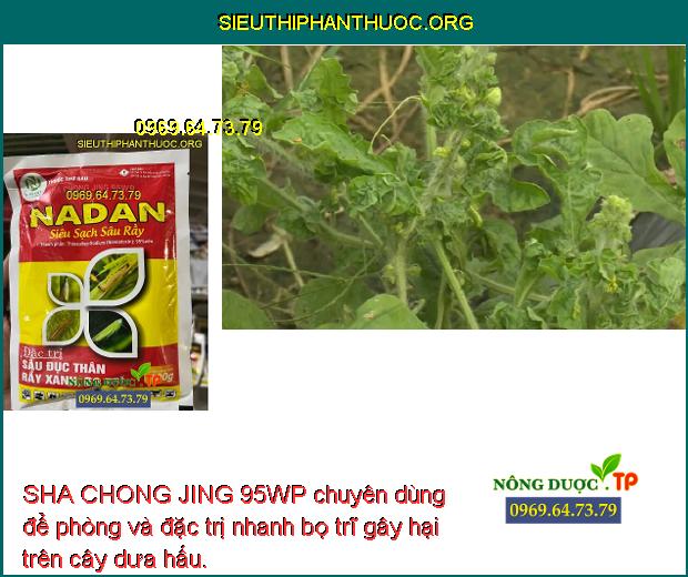 SHA CHONG JING 95WP chuyên dùng để phòng và đặc trị nhanh bọ trĩ gây hại trên cây dưa hấu.