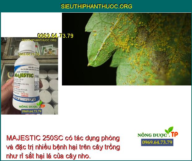 MAJESTIC 250SC có tác dụng phòng và đặc trị nhiều bệnh hại trên cây trồng như rỉ sắt hại lá của cây nho.
