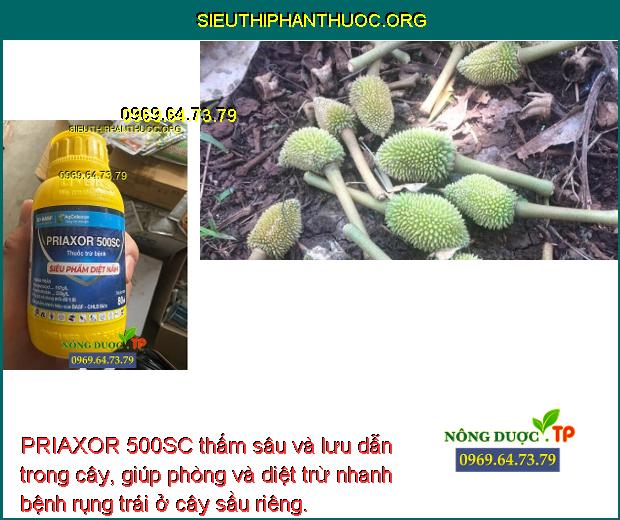PRIAXOR 500SC thấm sâu và lưu dẫn trong cây, giúp phòng và diệt trừ nhanh bệnh rụng trái ở cây sầu riêng. 