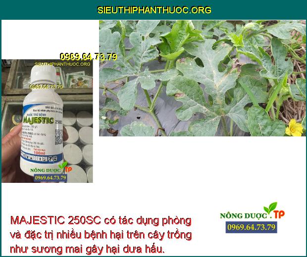 MAJESTIC 250SC có tác dụng phòng và đặc trị nhiều bệnh hại trên cây trồng như sương mai gây hại dưa hấu. 
