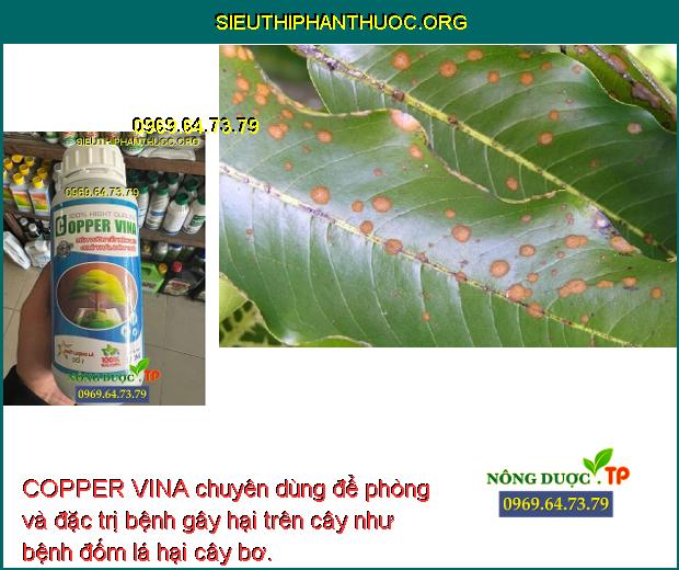COPPER VINA chuyên dùng để phòng và đặc trị bệnh gây hại trên cây như bệnh đốm lá hại cây bơ.