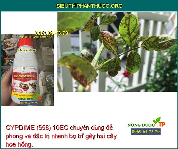 CYPDIME (558) 10EC chuyên dùng để phòng và đặc trị nhanh bọ trĩ gây hại cây hoa hồng. 