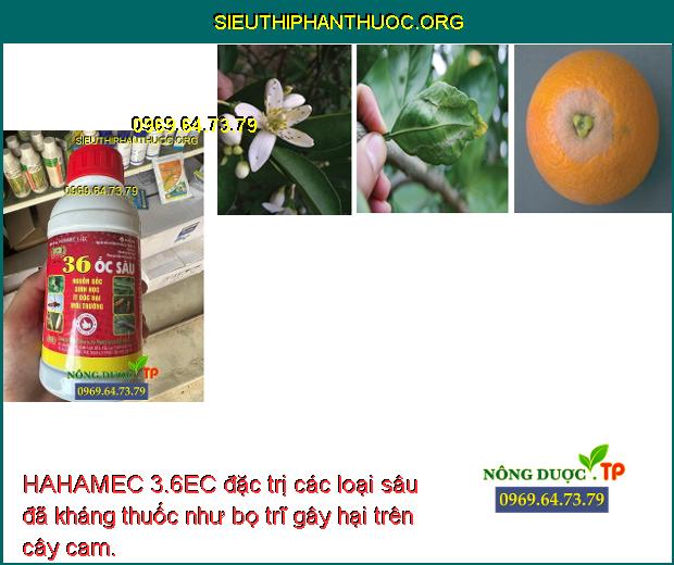 HAHAMEC 3.6EC đặc trị các loại sâu đã kháng thuốc như bọ trĩ gây hại trên cây cam.