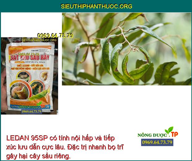 LEDAN 95SP có tính nội hấp và tiếp xúc lưu dẫn cực lâu. Đặc trị nhanh bọ trĩ gây hại cây sầu riêng. 