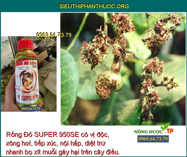Rồng Đỏ SUPER 950SE có vị độc, xông hơi, tiếp xúc, nội hấp, diệt trừ nhanh bọ xít muỗi gây hại trên cây điều. 