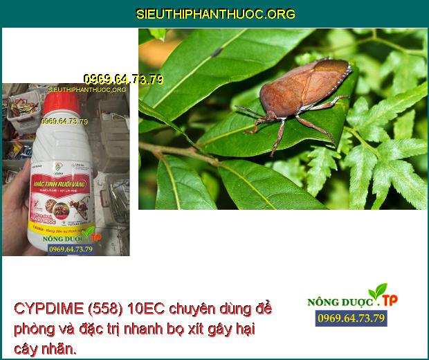 CYPDIME (558) 10EC chuyên dùng để phòng và đặc trị nhanh bọ xít gây hại cây nhãn. 