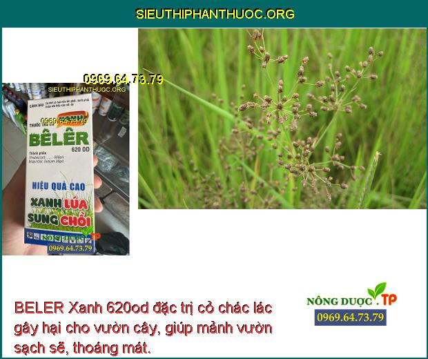 BELER Xanh 620od đặc trị cỏ chác lác gây hại cho vườn cây, giúp mảnh vườn sạch sẽ, thoáng mát.