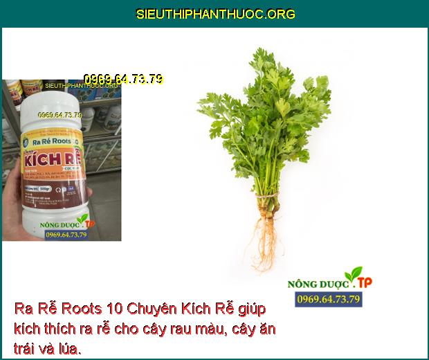 Ra Rễ Roots 10 Chuyên Kích Rễ- Kích Ra Rễ- Phục Hồi Bộ Rễ- Kích Bộ Rễ ...