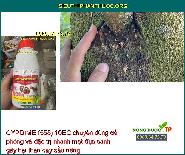 CYPDIME (558) 10EC chuyên dùng để phòng và đặc trị nhanh mọt đục cành gây hại thân cây sầu riêng.