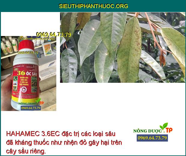 HAHAMEC 3.6EC đặc trị các loại sâu đã kháng thuốc như nhện đỏ gây hại trên cây sầu riêng. 