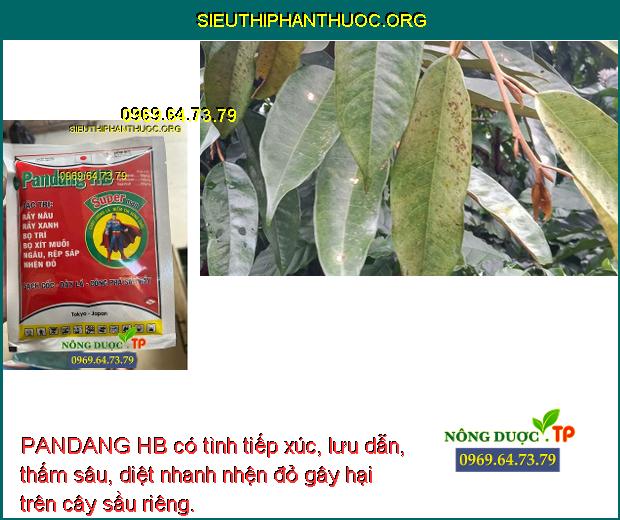 PANDANG HB có tình tiếp xúc, lưu dẫn, thấm sâu, diệt nhanh nhện đỏ gây hại trên cây sầu riêng.