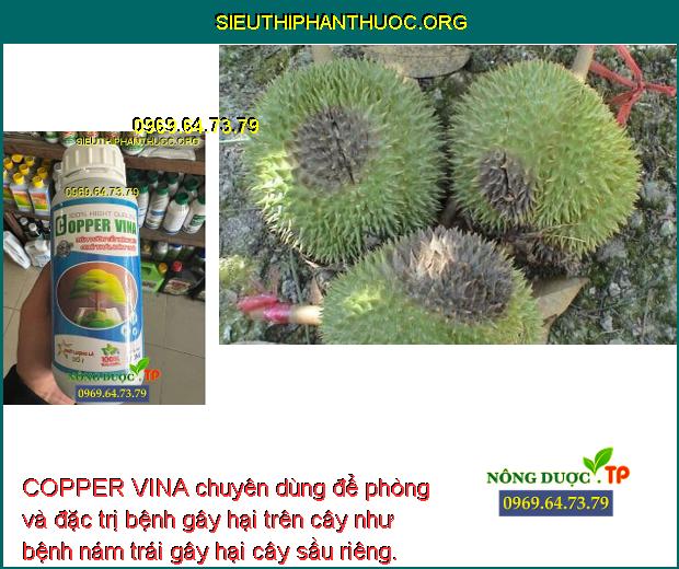 COPPER VINA chuyên dùng để phòng và đặc trị bệnh gây hại trên cây như bệnh nám trái gây hại cây sầu riêng.