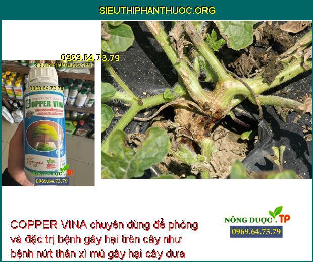 COPPER VINA chuyên dùng để phòng và đặc trị bệnh gây hại trên cây như bệnh nứt thân xì mủ gây hại cây dưa hấu.