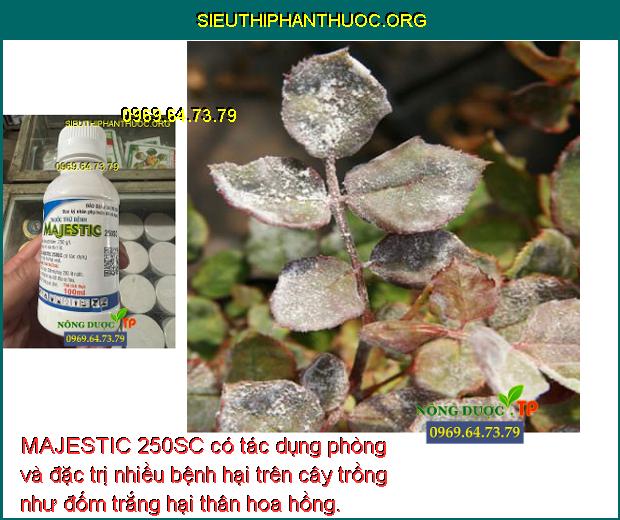 MAJESTIC 250SC có tác dụng phòng và đặc trị nhiều bệnh hại trên cây trồng như đốm trắng hại thân hoa hồng.