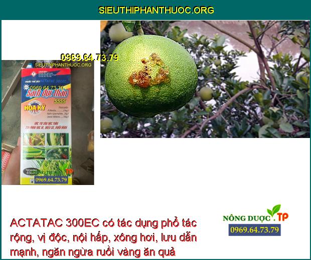ACTATAC 300EC có tác dụng phổ tác rộng, vị độc, nội hấp, xông hơi, lưu dẫn mạnh, ngăn ngừa ruồi vàng ăn quả bưởi.