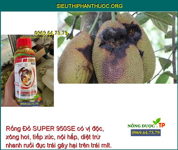 Rồng Đỏ SUPER 950SE có vị độc, xông hơi, tiếp xúc, nội hấp, diệt trừ nhanh ruồi đục trái gây hại trên trái mít. 