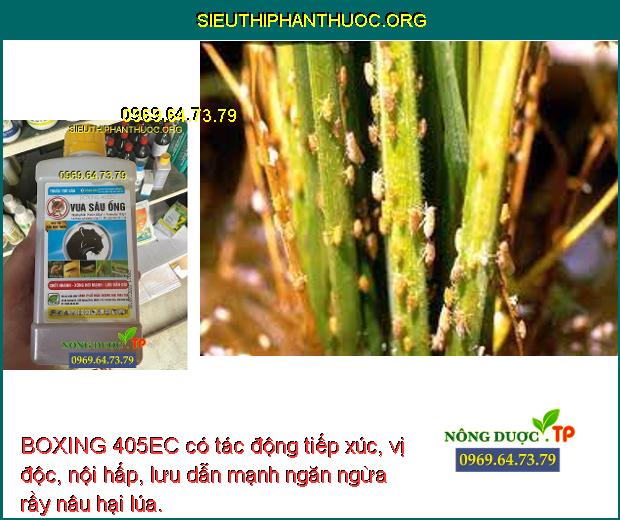 BOXING 405EC có tác động tiếp xúc, vị độc, nội hấp, lưu dẫn mạnh ngăn ngừa rầy nâu hại lúa.