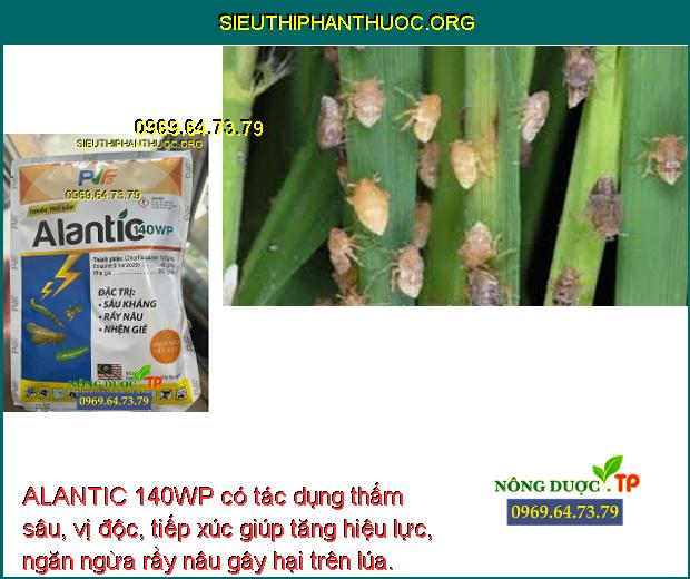 ALANTIC 140WP có tác dụng thấm sâu, vị độc, tiếp xúc giúp tăng hiệu lực, ngăn ngừa rầy nâu gây hại trên lúa.