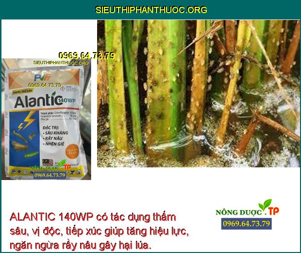 ALANTIC 140WP có tác dụng thấm sâu, vị độc, tiếp xúc giúp tăng hiệu lực, ngăn ngừa rầy nâu gây hại lúa.
