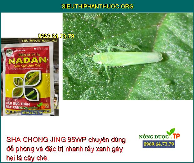 SHA CHONG JING 95WP chuyên dùng để phòng và đặc trị nhanh rầy xanh gây hại lá cây chè.