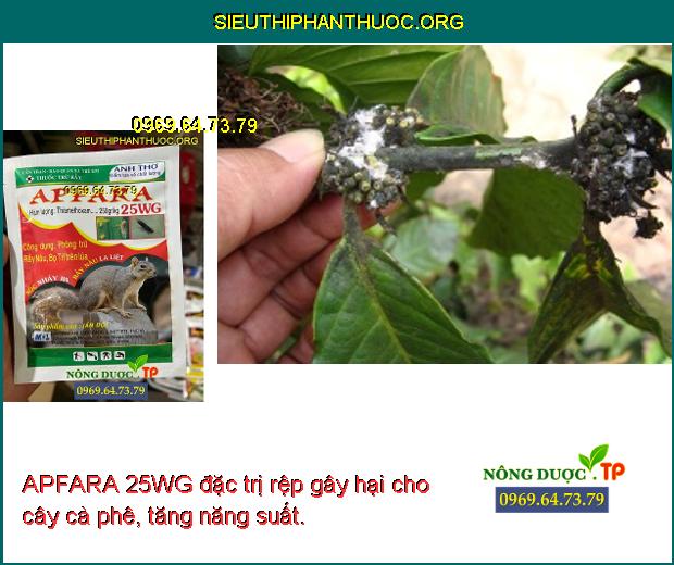APFARA 25WG đặc trị rệp gây hại cho cây cà phê, tăng năng suất. 