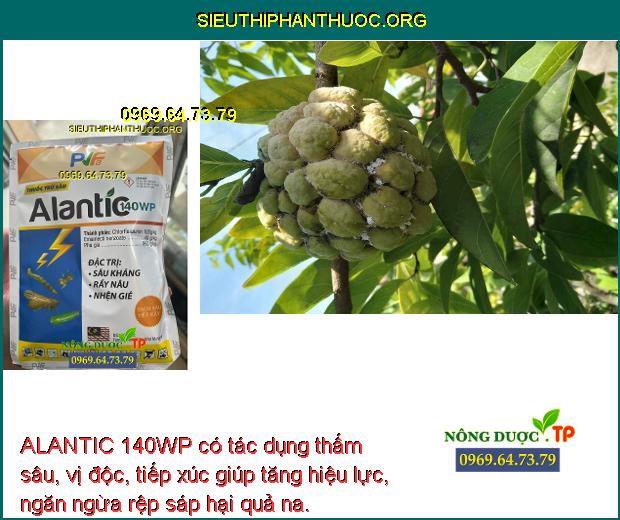 ALANTIC 140WP có tác dụng thấm sâu, vị độc, tiếp xúc giúp tăng hiệu lực, ngăn ngừa rệp sáp hại quả na.