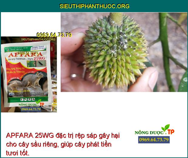 APFARA 25WG đặc trị rệp sáp gây hại cho cây sầu riêng, giúp cây phát tiển tươi tốt.