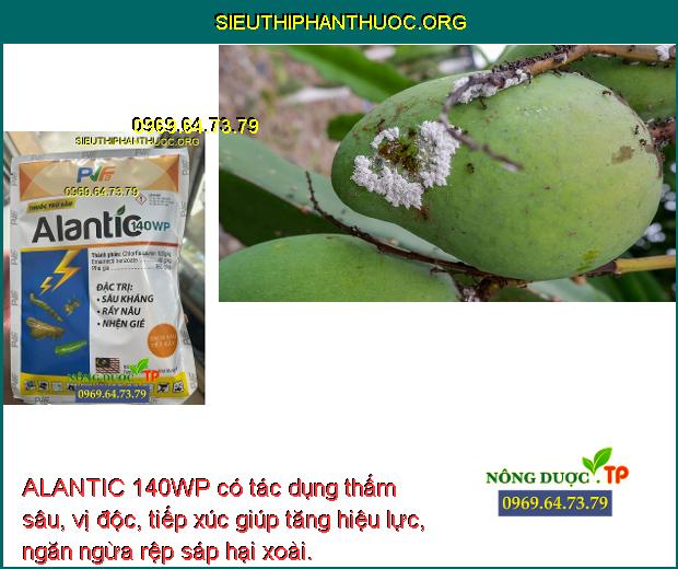 ALANTIC 140WP có tác dụng thấm sâu, vị độc, tiếp xúc giúp tăng hiệu lực, ngăn ngừa rệp sáp hại xoài.