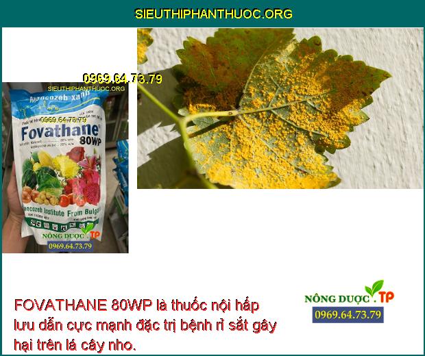 FOVATHANE 80WP là thuốc nội hấp lưu dẫn cực mạnh đặc trị bệnh rỉ sắt gây hại trên lá cây nho. 