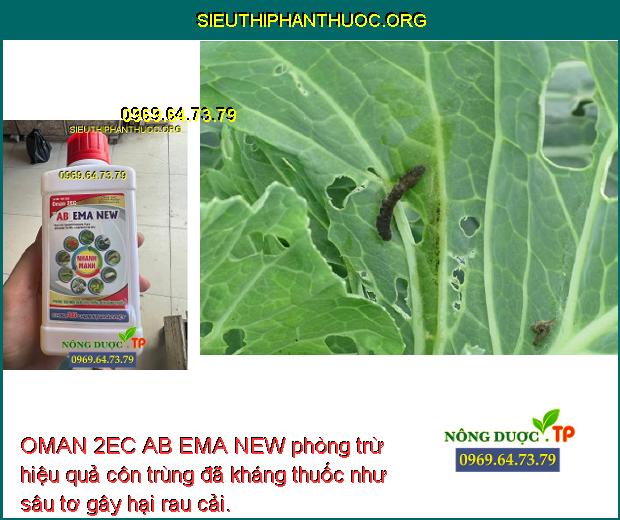 OMAN 2EC AB EMA NEW phòng trừ hiệu quả côn trùng đã kháng thuốc như sâu tơ gây hại rau cải.