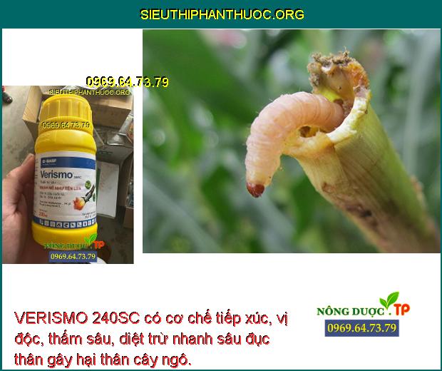 VERISMO 240SC có cơ chế tiếp xúc, vị độc, thấm sâu, diệt trừ nhanh sâu đục thân gây hại thân cây ngô.