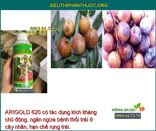 ARIGOLD 620 có tác dụng kích kháng chủ động, ngăn ngừa bệnh thối trái ở cây nhãn, hạn chế rụng trái.