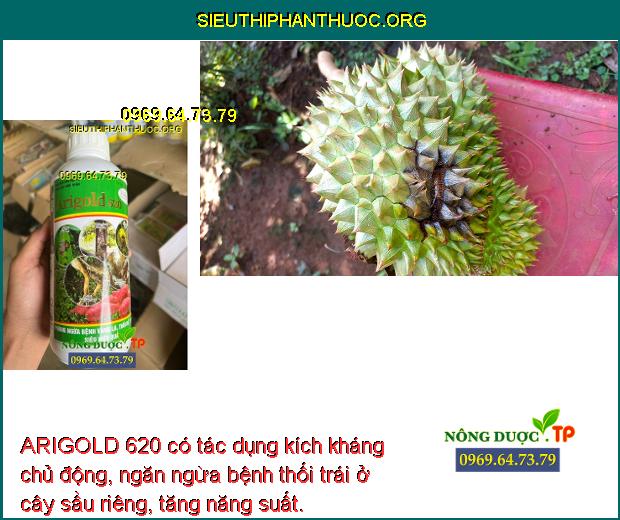 ARIGOLD 620 có tác dụng kích kháng chủ động, ngăn ngừa bệnh thối trái ở cây sầu riêng, tăng năng suất.