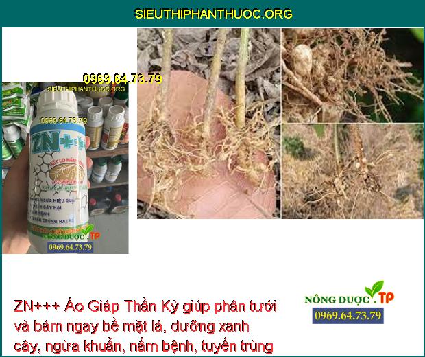 ZN+++ Áo Giáp Thần Kỳ