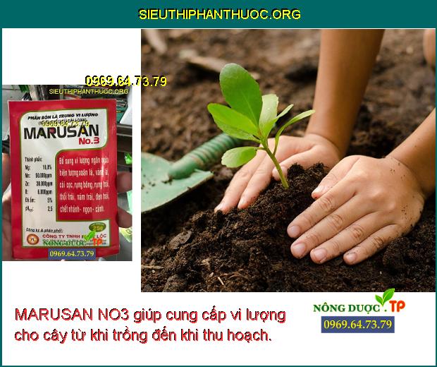 MARUSAN NO3 giúp cung cấp vi lượng cho cây từ khi trồng đến khi thu hoạch.