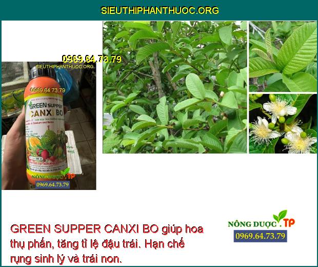 GREEN SUPPER CANXI BO giúp hoa thụ phấn, tăng tỉ lệ đậu trái. Hạn chế rụng sinh lý và trái non.