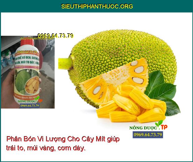 Phân Bón Vi Lượng Cho Cây Mít