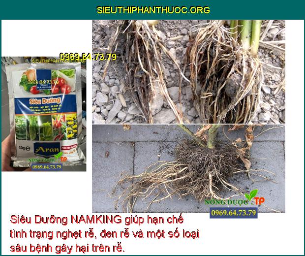 Siêu Dưỡng NAMKING giúp hạn chế tình trạng nghẹt rễ, đen rễ và một số loại sâu bệnh gây hại trên rễ.
