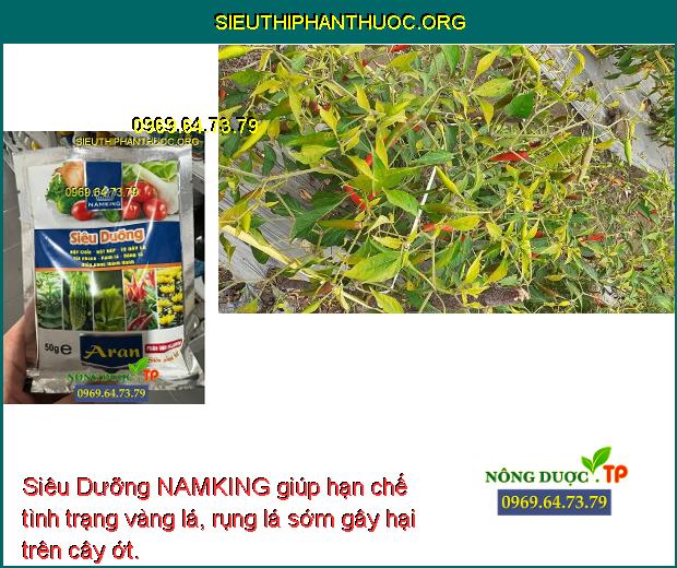 Siêu Dưỡng NAMKING giúp hạn chế tình trạng vàng lá, rụng lá sớm gây hại trên cây ớt.