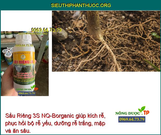 Sầu Riêng 3S NQ-Borganic giúp kích rễ, phục hồi bộ rễ yếu, dưỡng rễ trắng, mập và ăn sâu.