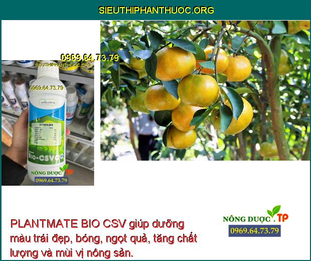 PLANTMATE BIO CSV giúp dưỡng màu trái đẹp, bóng, ngọt quả, tăng chất lượng và mùi vị nông sản.